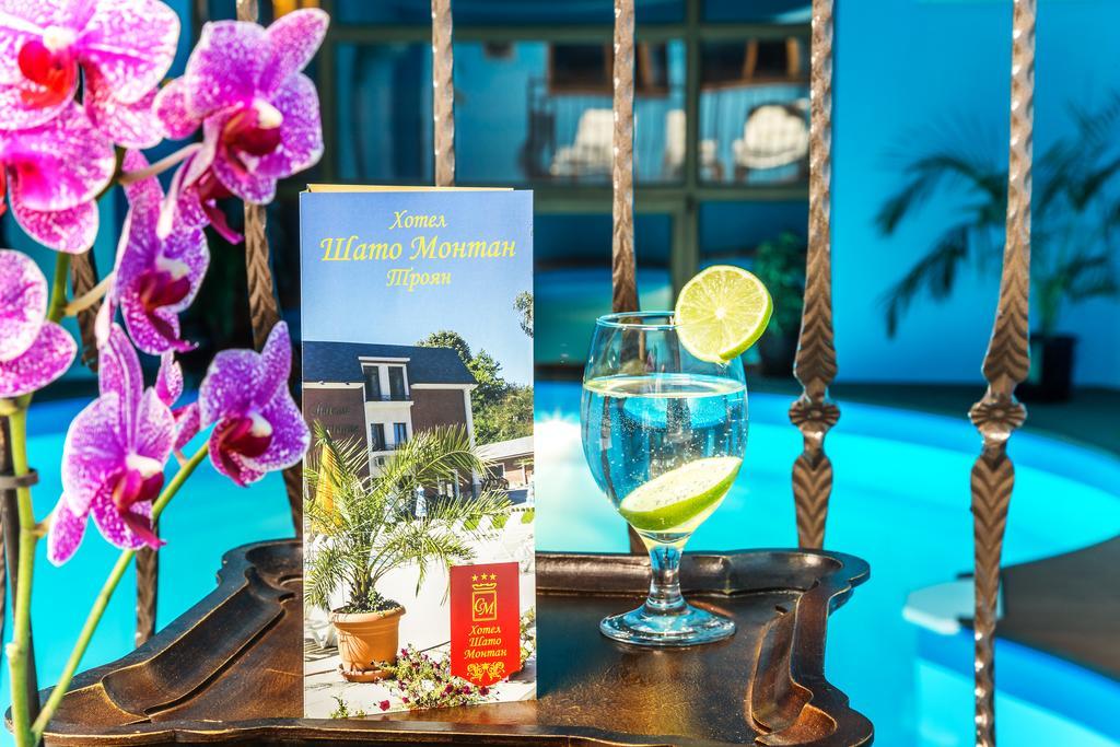 טרויאן Chateau Montagne Hotel Troyan מראה חיצוני תמונה