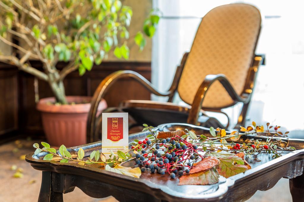 טרויאן Chateau Montagne Hotel Troyan מראה חיצוני תמונה